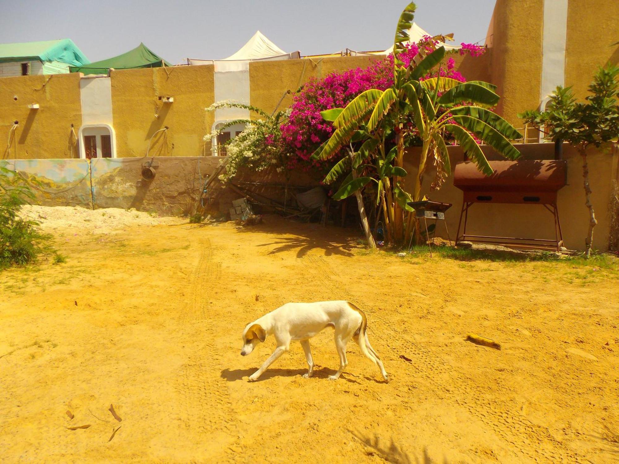 Auberge Triskell Nouakchott Exteriér fotografie